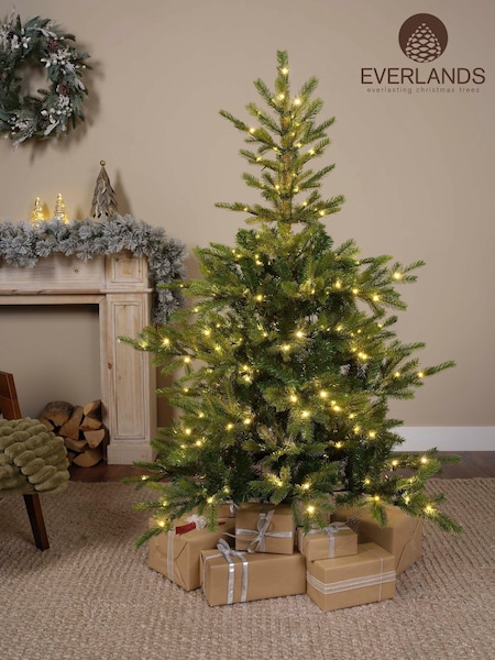 Everlands 5ft Grandis Pre-lit Christmas Tree