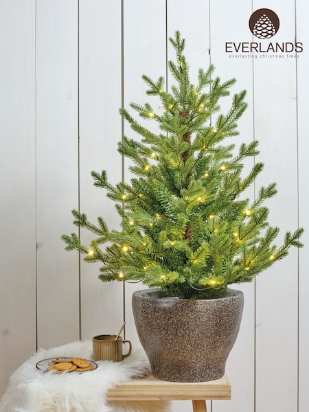 Everlands 3ft Potted Pre-lit Norway Christmas Tree