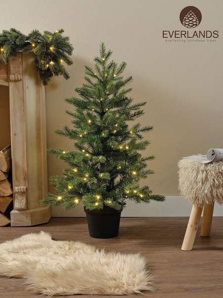Everlands 3ft Grandis Pre-lit Christmas Tree