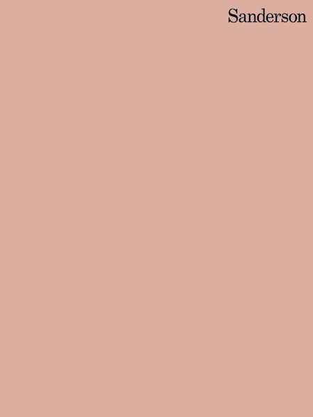 Sanderson French Rose Active Emulsion Paint (M21659) | £5