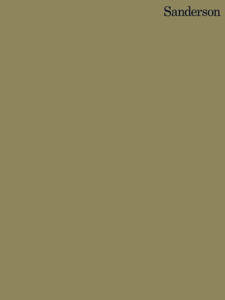 Sanderson Oxney Olive Active Emulsion Paint (M21678) | £5