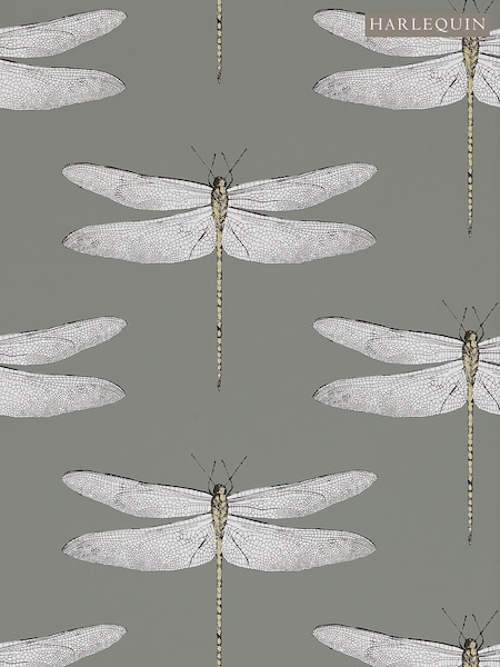 Harlequin Grey Demoiselle Wallpaper (M68116) | £1
