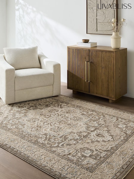 Livabliss Arda Vintage Traditional Rug