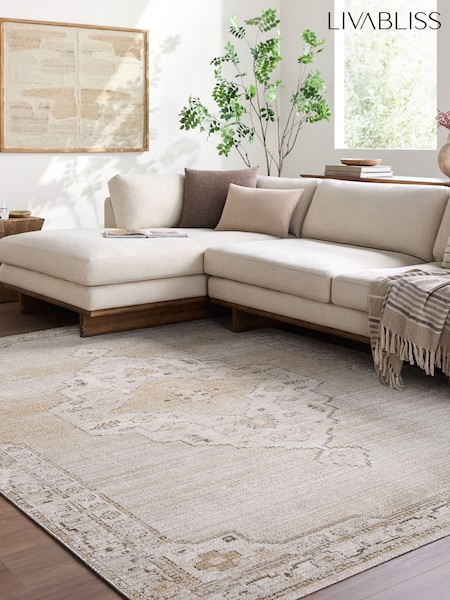 Livabliss Fifth Avenue Vintage Traditional Rug