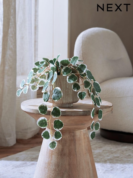 Green Artificial Trailing Eucalyptus In Marble Effect Pot (N42305) | £18