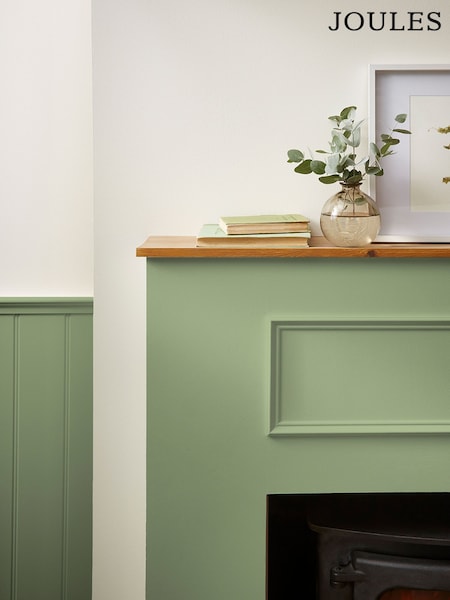 Joules Swanton Novas Multi Surface Matt Emulsion (N43630) | £46