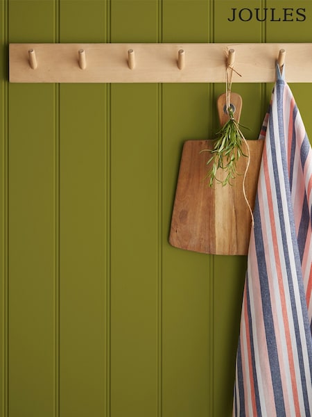 Joules Spixworth Green Multi Surface Matt Emulsion (N43631) | £46