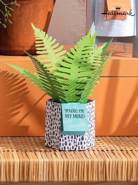 Hallmark Green You're On My Mind Card 3D Pop Up Fern (N66873) | £4.50