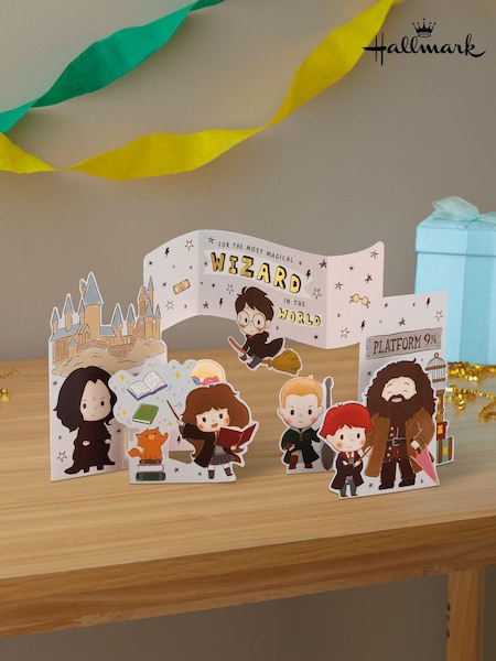 Hallmark Brown Birthday Card 3D Harry Potter Scene Design (N66898) | £6