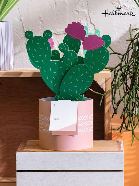 Hallmark Green Just To Say Card 3D Pop Up Cactus (N66928) | £4.50