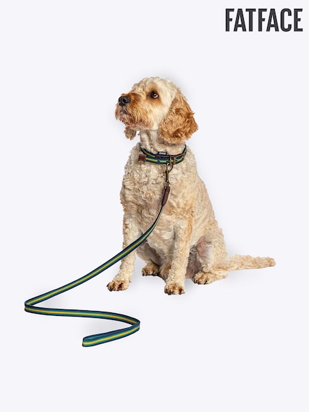 FatFace Blue Dog Collar and  Lead Set (N98860) | £24 - £33