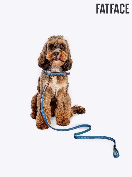 FatFace Blue Dog Collar and  Lead Set (N98908) | £24 - £33