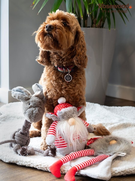 Rosewood Christmas Dog Toy Bundle Rope Donkey Santa and Gonk (Q48904) | £25