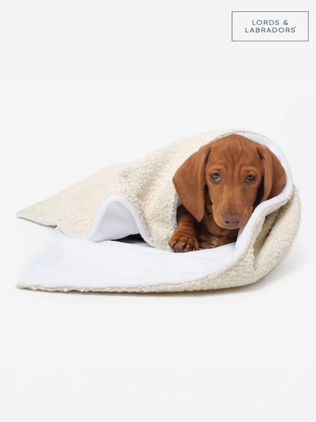 Lords and Labradors Ivory Dog & Puppy Boucle Blanket (Q63550) | £35 - £45