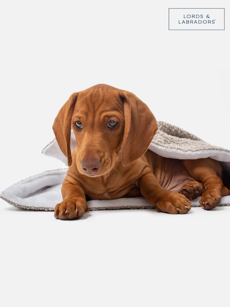 Lords and Labradors Mink Brown Dog & Puppy Boucle Blanket (Q63557) | £35 - £45