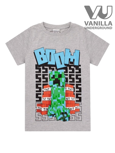Vanilla Underground Grey Minecraft Boys 100% Cotton Gaming T-Shirt (Q78554) | £14