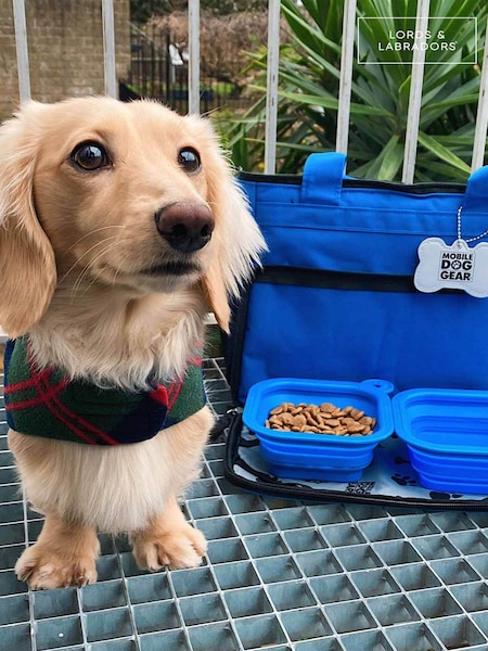 Lords and Labradors Blue Week Away Dog Travel Bag (Q96204) | £40