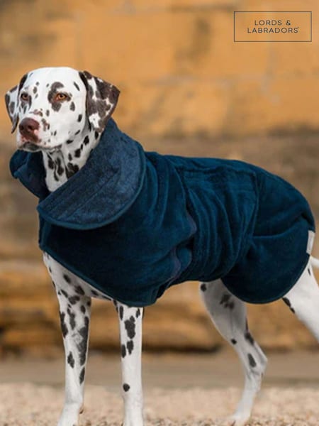 Lords and Labradors Blue Dog Drying Coat (Q96217) | £40 - £55