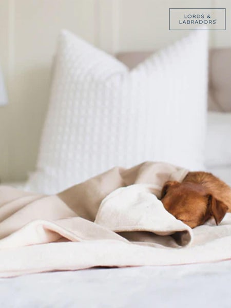 Lords and Labradors Natural Savanna 100% Cotton Dog Blanket (Q99881) | £35 - £45