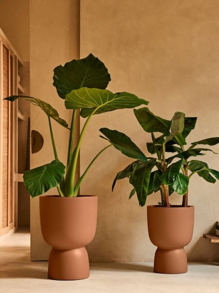 Elho Amber Coupe Indoor And Outdoor Plant Pot