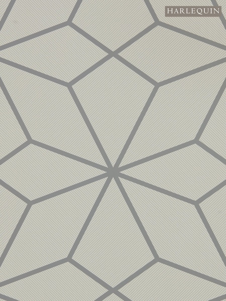Harlequin Grey Axal 10.05M Wallpaper (T09942) | £65