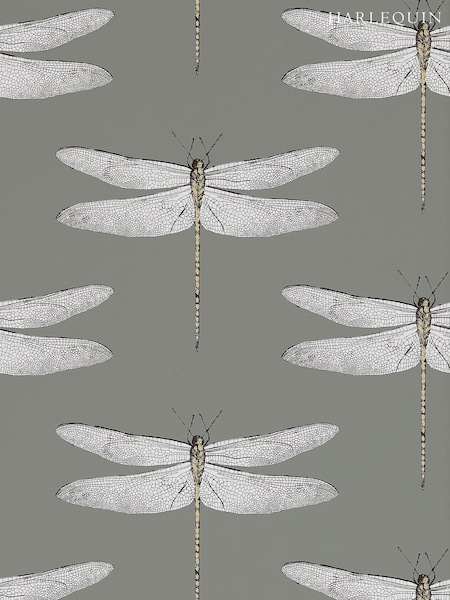 Harlequin Grey Demoiselle 10.05M Wallpaper (T09958) | £79