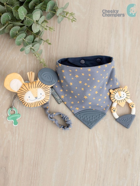 Cheeky Chompers Teething Baby 100% Cotton Gift Bundle (T55687) | £34