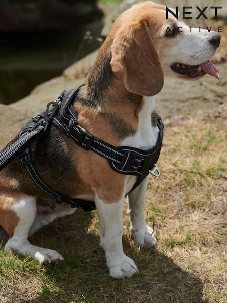 Black Active Dog Harness (T67406) | £34