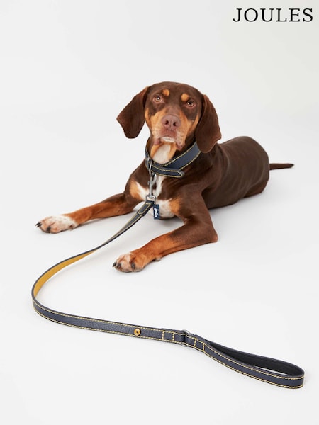 Joules Navy Leather Dog Lead (T81735) | £22