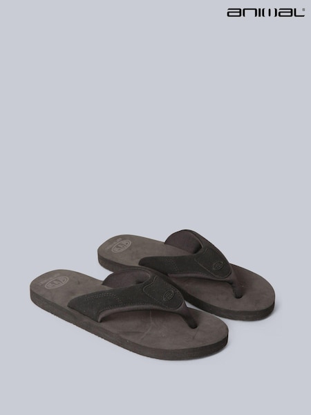 Animal Charcoal Grey Mens Jekyl Flip-Flops (T97479) | £32