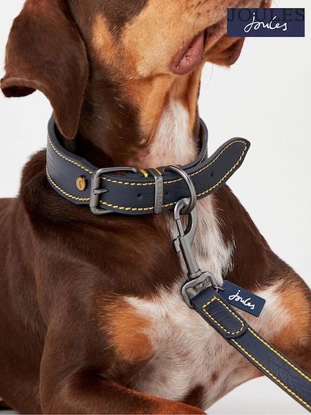 Joules Blue Adjustable Leather Dog Collar (U35928) | £14 - £18