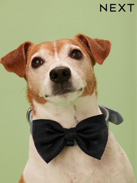 Black Satin Matching Family Tie (U41216) | £6