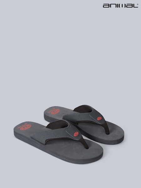 Animal Grey Mens Jekyl Flip-Flops (U52678) | £32