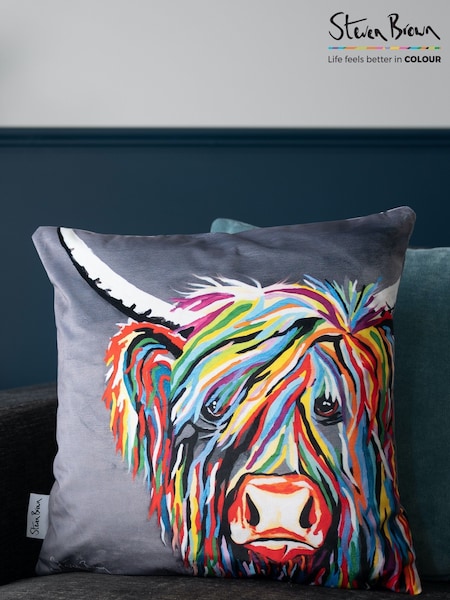 Steven Brown Art Grey Rab McCoo 45cm Cushion (U68439) | £35