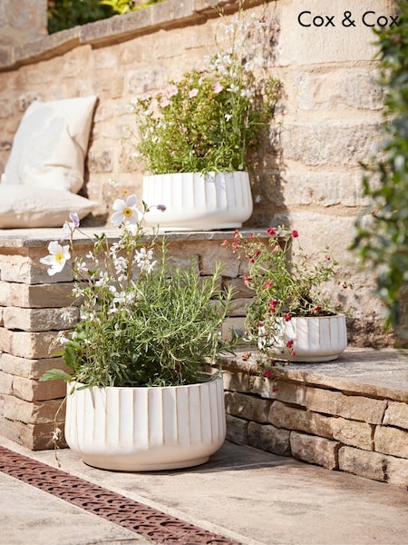 Cox & Cox Cream Small Three Sand Fluted Planters (V03416) | £115