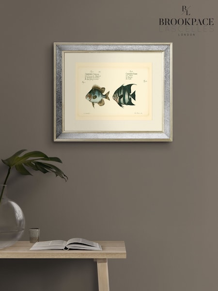 Brookpace Lascelles Cream Mirror Hand Made in UK 'Bloch Antique Fish II in Antique Gold Toned Mirrored Frame 40 x 50cm Wall Art (V16943) | £150