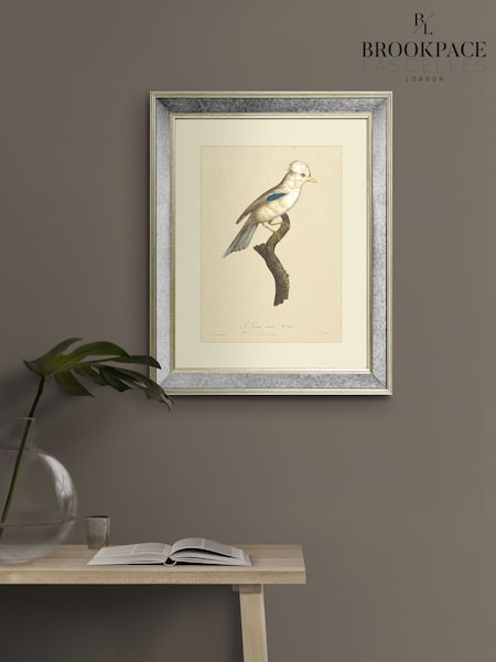 Brookpace Lascelles Cream Mirror Hand Made in UK 'Tropical Bird I' Wall Art in Antique Gold Toned Mirrored Frame 40 x 50cm (V16962) | £150