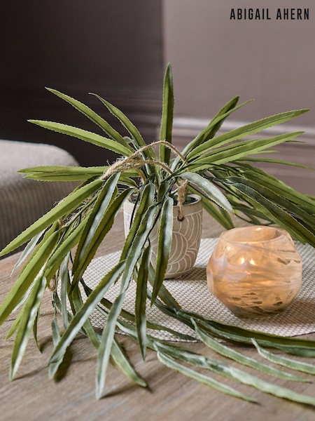 Green Artificial Rhipsalis Plant (V17994) | £28