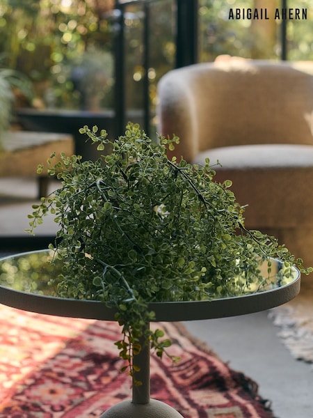 Abigail Ahern Green Artificial Milkweed Plant (V18004) | £33