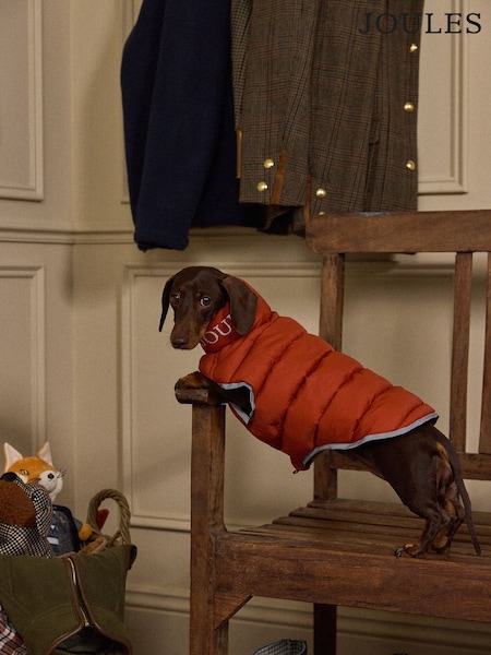 Joules Orange & Brown Reversible Dog Puffer Jacket (V19260) | £26 - £30