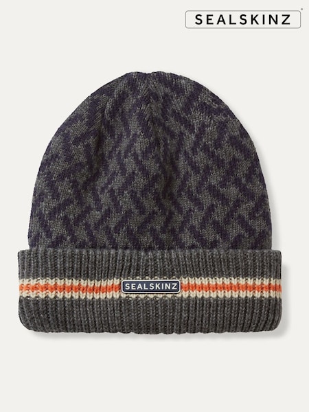 Sealskinz Blue Arminghall Waterproof Cold Weather Beanie (V23252) | £40