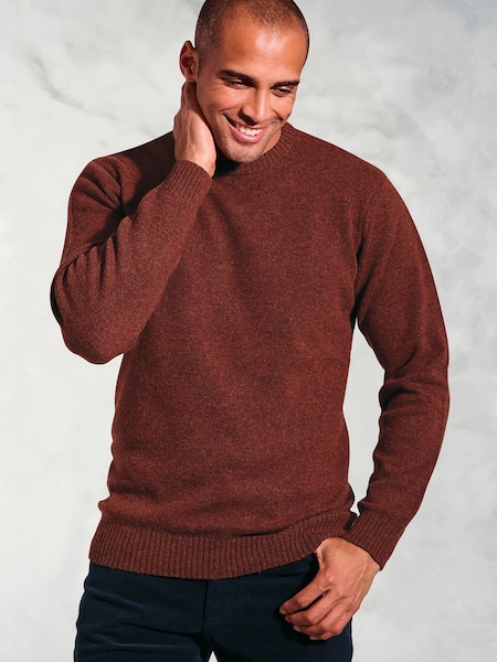 Brook Taverner Brown Lambswool Crew Neck Jumper (V26453) | £60