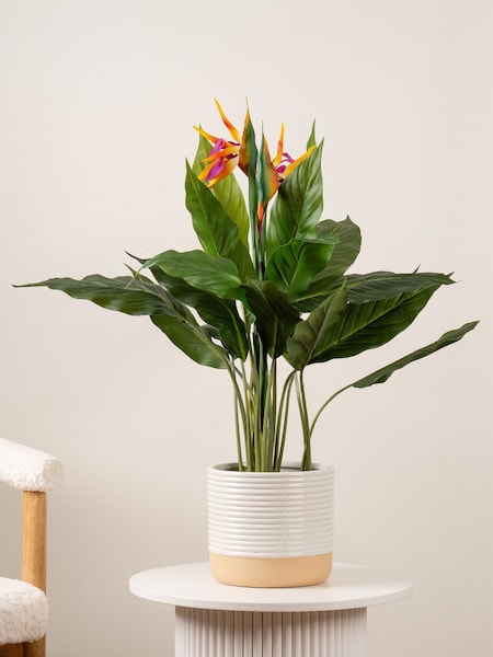 Scottish Everlastings Ltd Green Artificial Bird of Paradise Tree with Flower (V31613) | £50