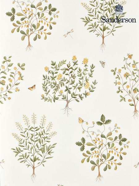 Sanderson Lichen/Gooseberry Highgrove Thyme Walk A4 Wallpaper Sample (V31799) | £1