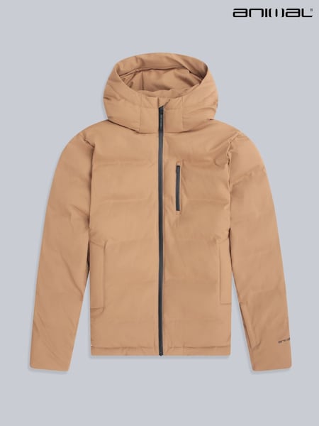 Animal Brown Polar Mens Heat Sealed Waterproof Ski Jacket (V36374) | £175