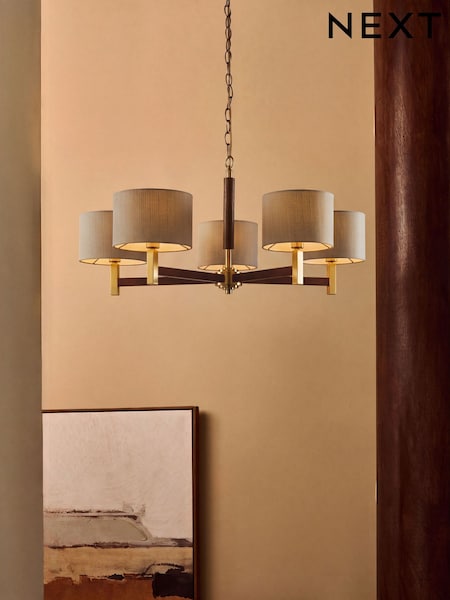 Lloyd 5 Light Chandelier Ceiling Light