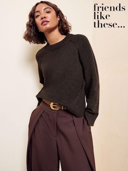 Chocolate Brown - Friends Like These Crew Neck Seam Detail Jumper