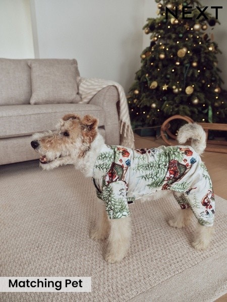 Ecru Santa - Matching Family Christmas Pet Pyjamas