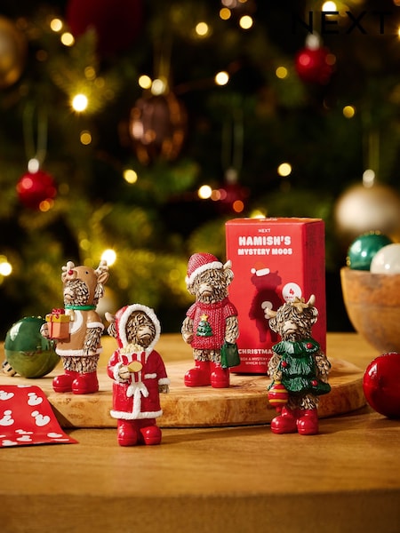 Hamish Ornament Mystery Box