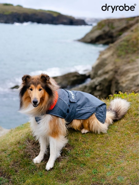 Dryrobe Dog Jacket